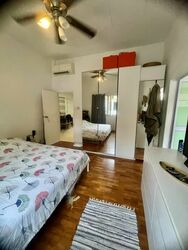 Frankel Estate (D15), Terrace #547173451